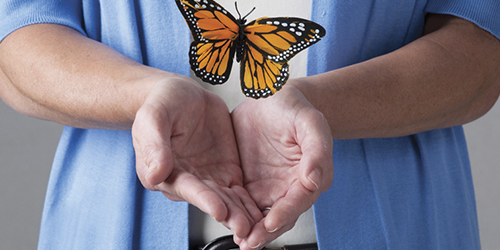 butterfly-release